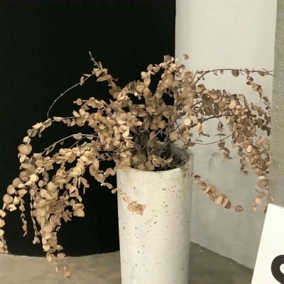 兽设清新风格设计福瑞群